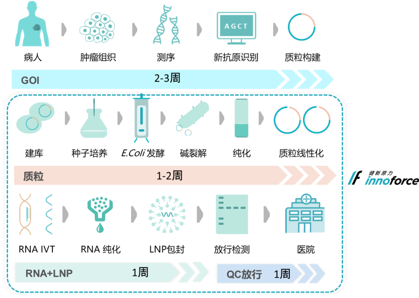 1+1>2治疗模式激活特异性抗肿瘤免疫系统-中国首个PD-1单抗联合mRNA个性化肿瘤疫苗临床试验披露